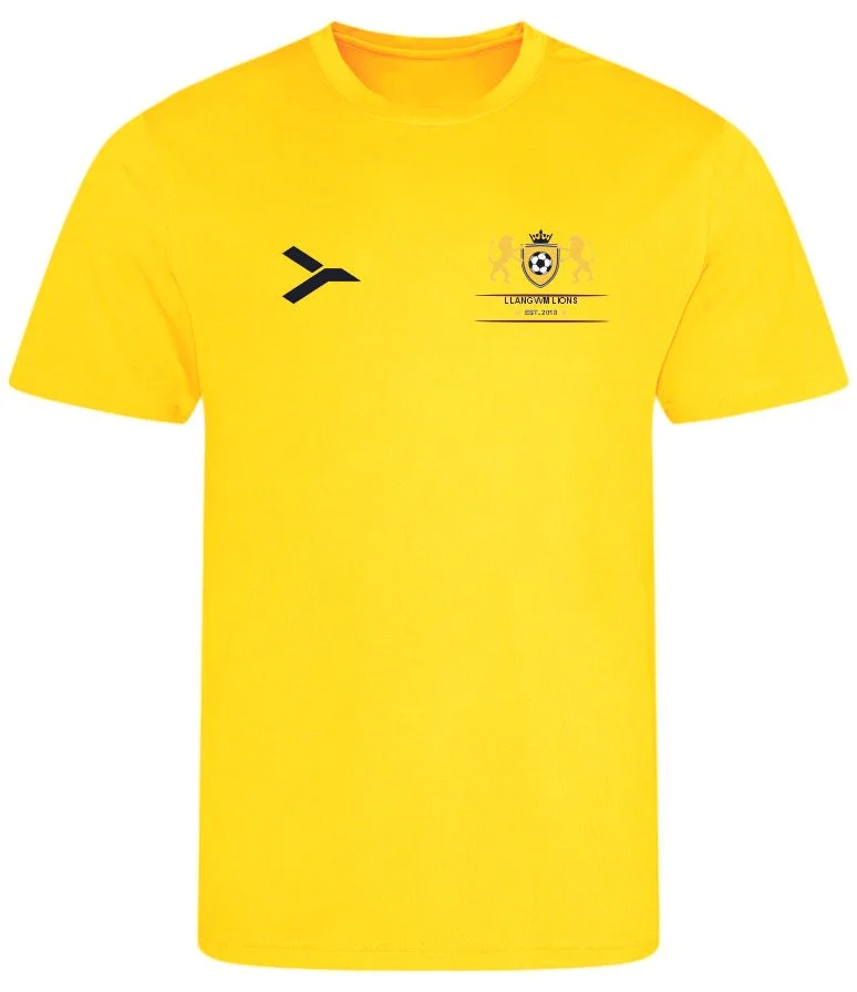 Llangwm lions U6.jpg