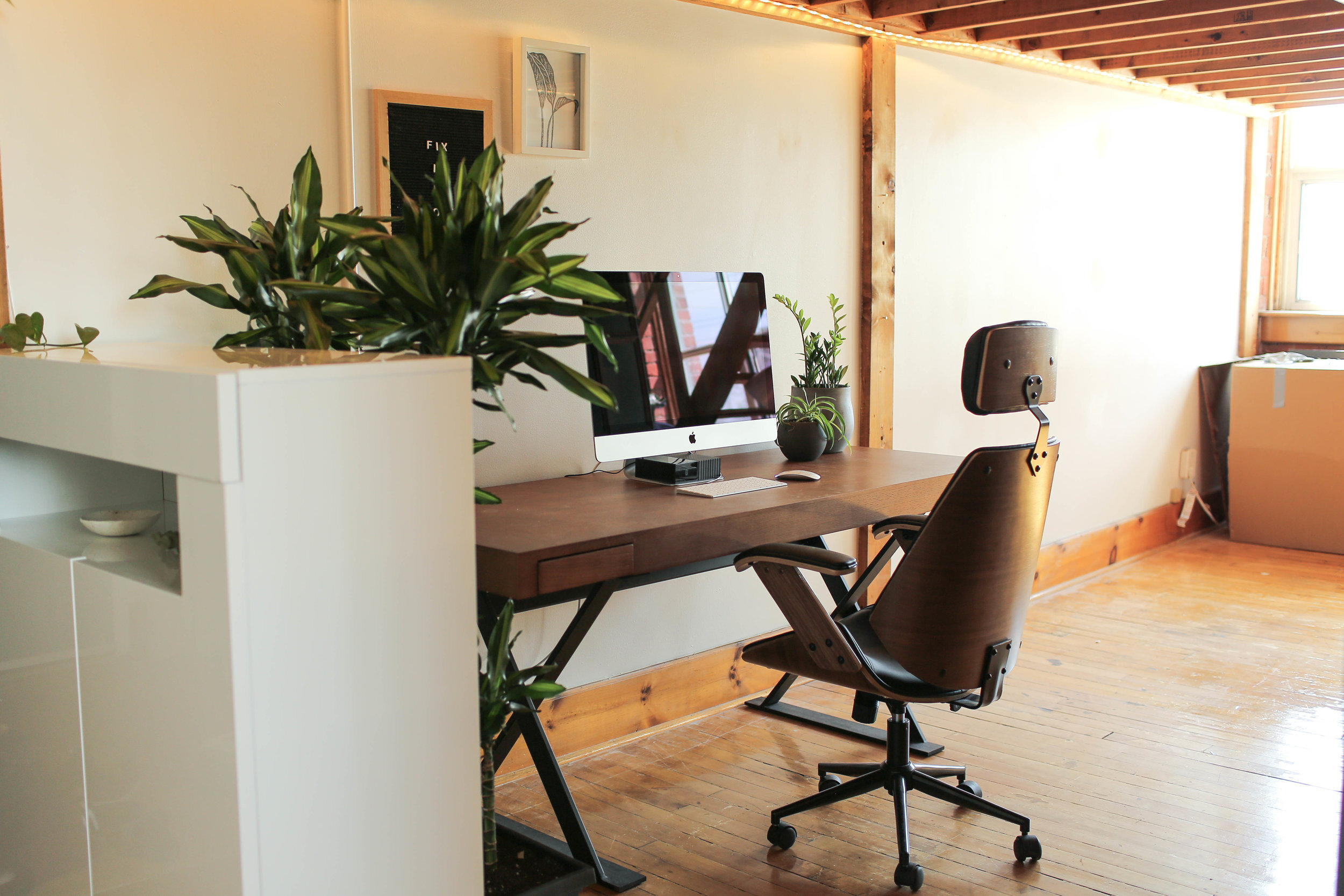 LOFT VIBES SEASON 2 THE OFFICES The Sorry Girls