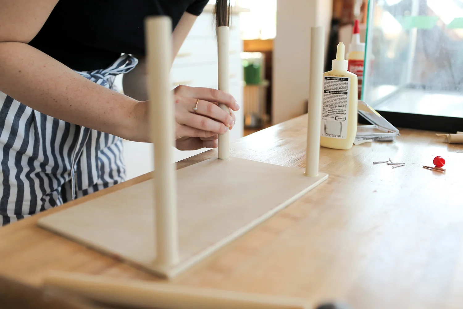 Image showcasing DIY Hamster Cage — The Sorry Girls