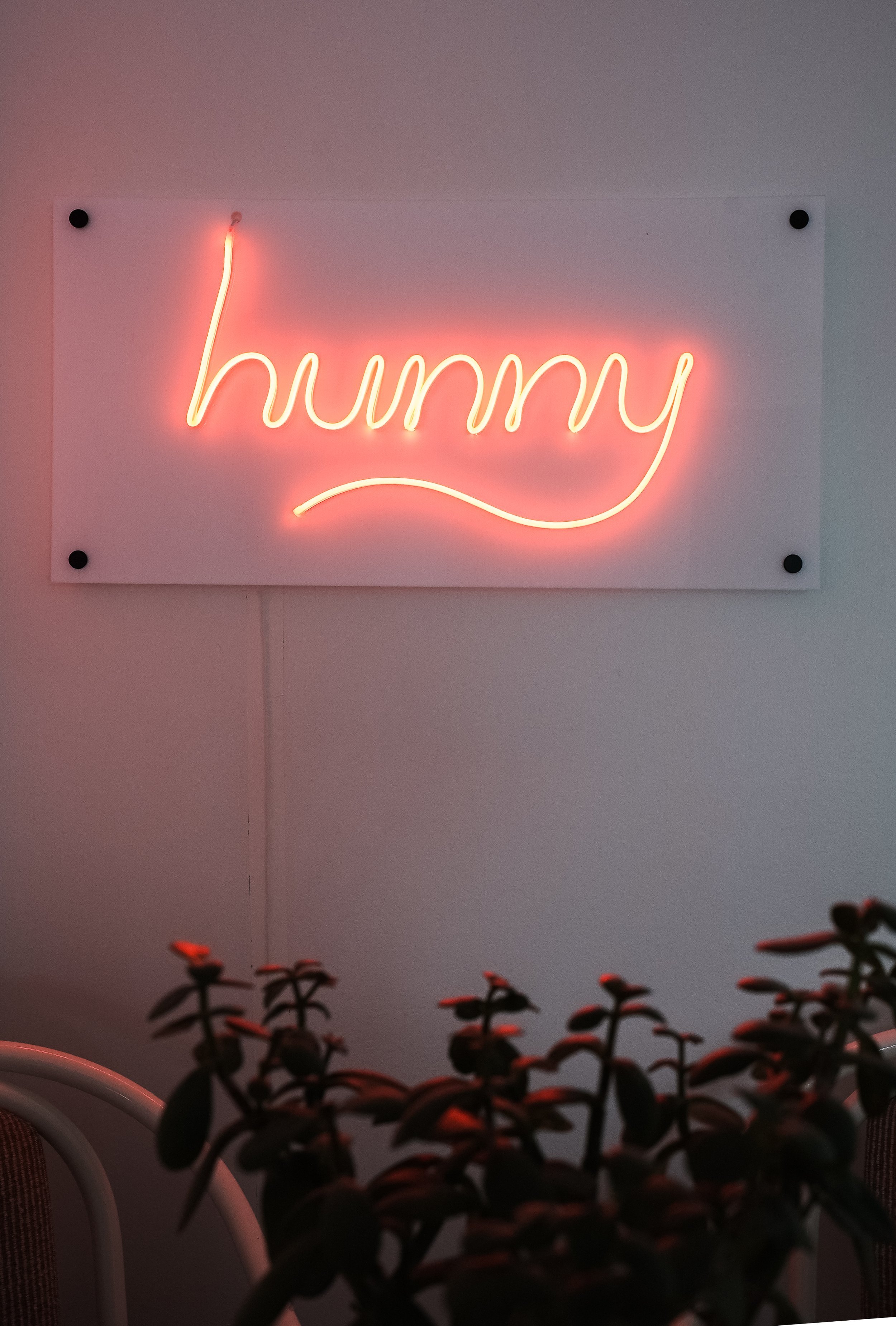 DIY Neon Sign — The Sorry Girls