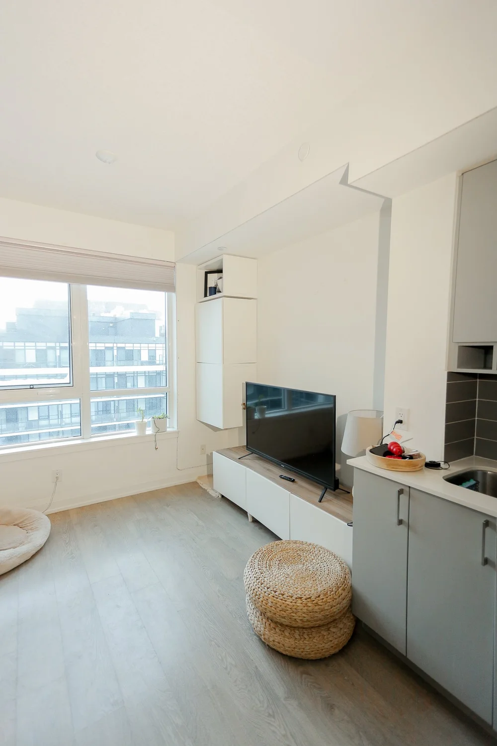 Picture of Organic modern apartment Makeover — The Sorry Girls
