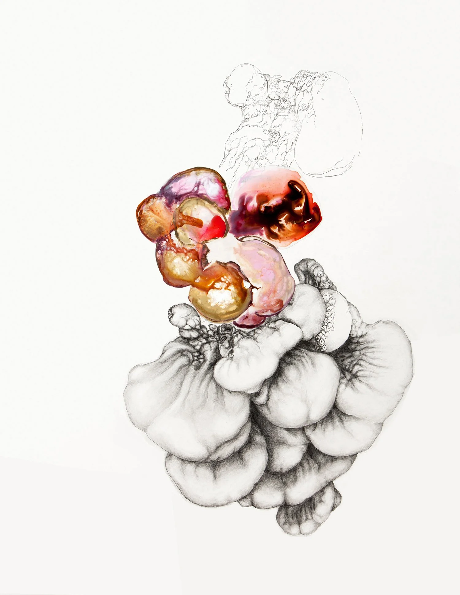 Anomaly drawings — Laura Stack Art NEW