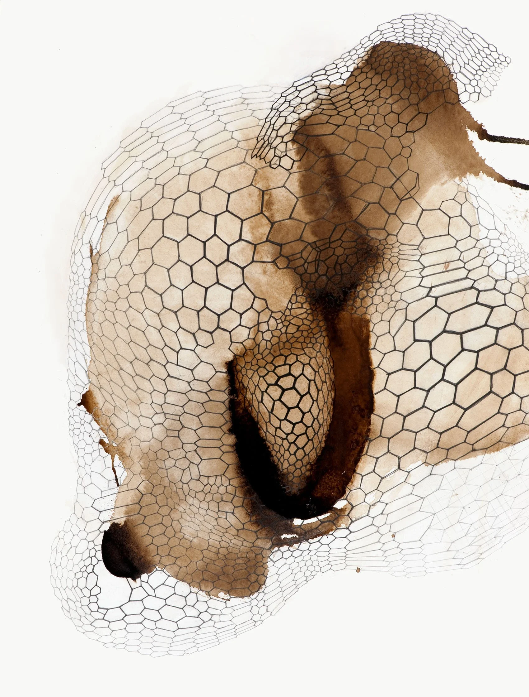 Anomaly drawings — Laura Stack Art NEW