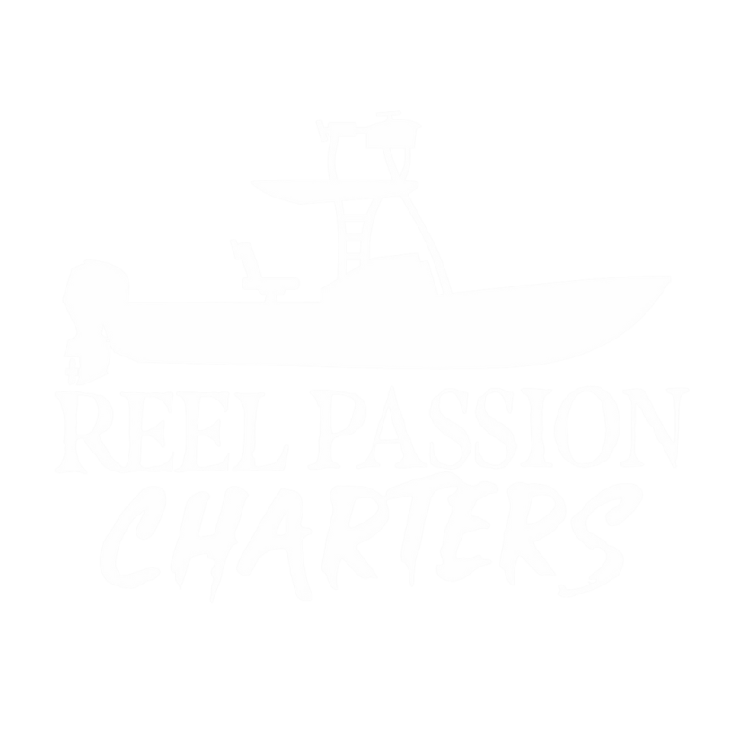 Reel Passion Charters | Fishing Trips, Dolphin Tours, and Island Hopping