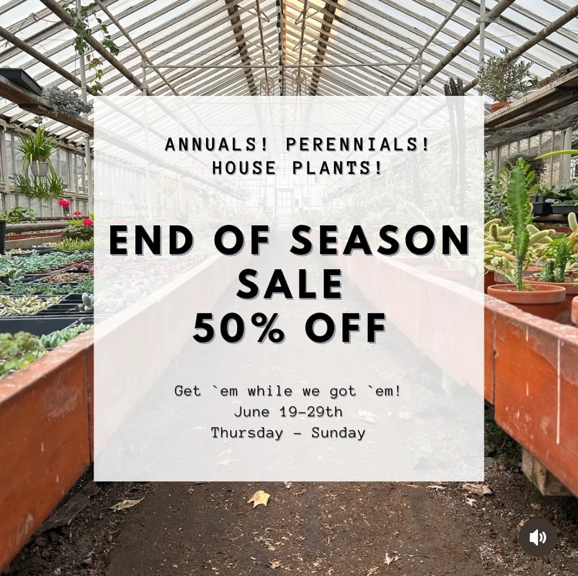 End of the Season Sale
