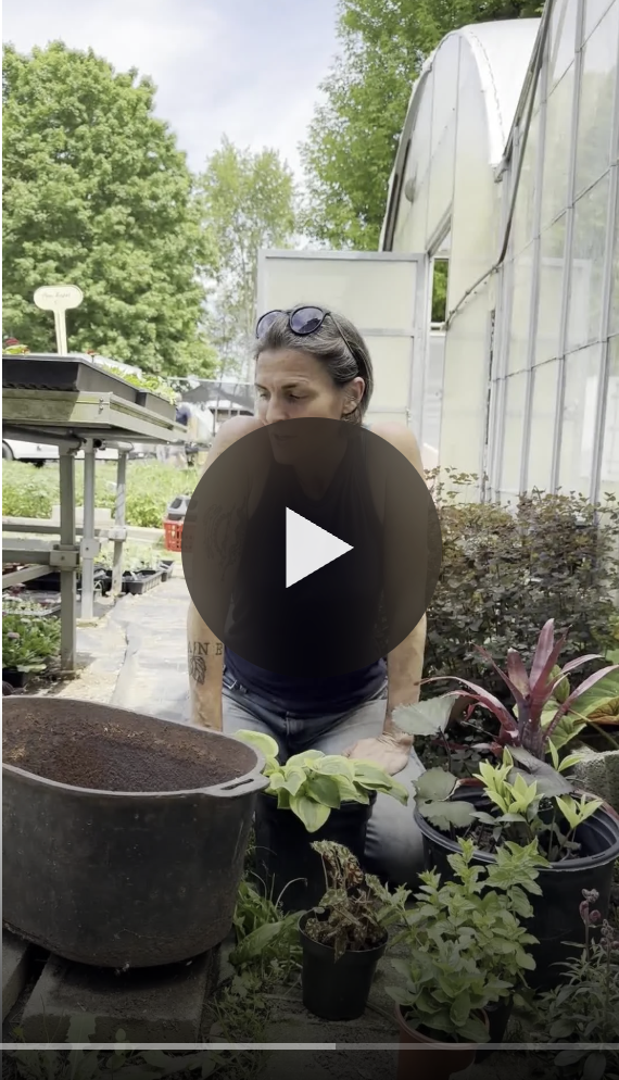 Porch Pots — Graye’s Style