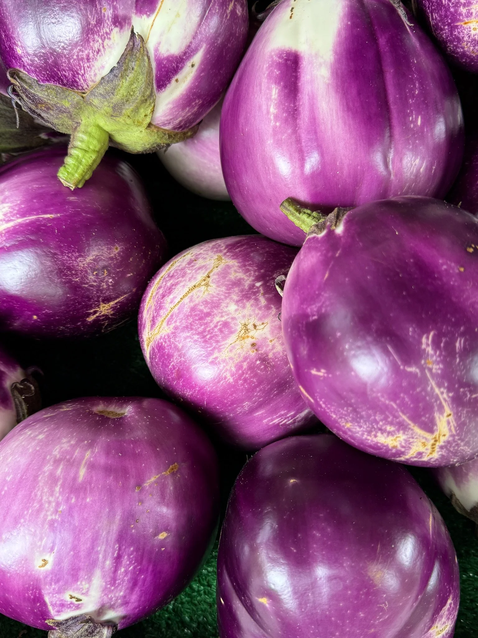 Grow your eggplant now —Sicilian Caponata later