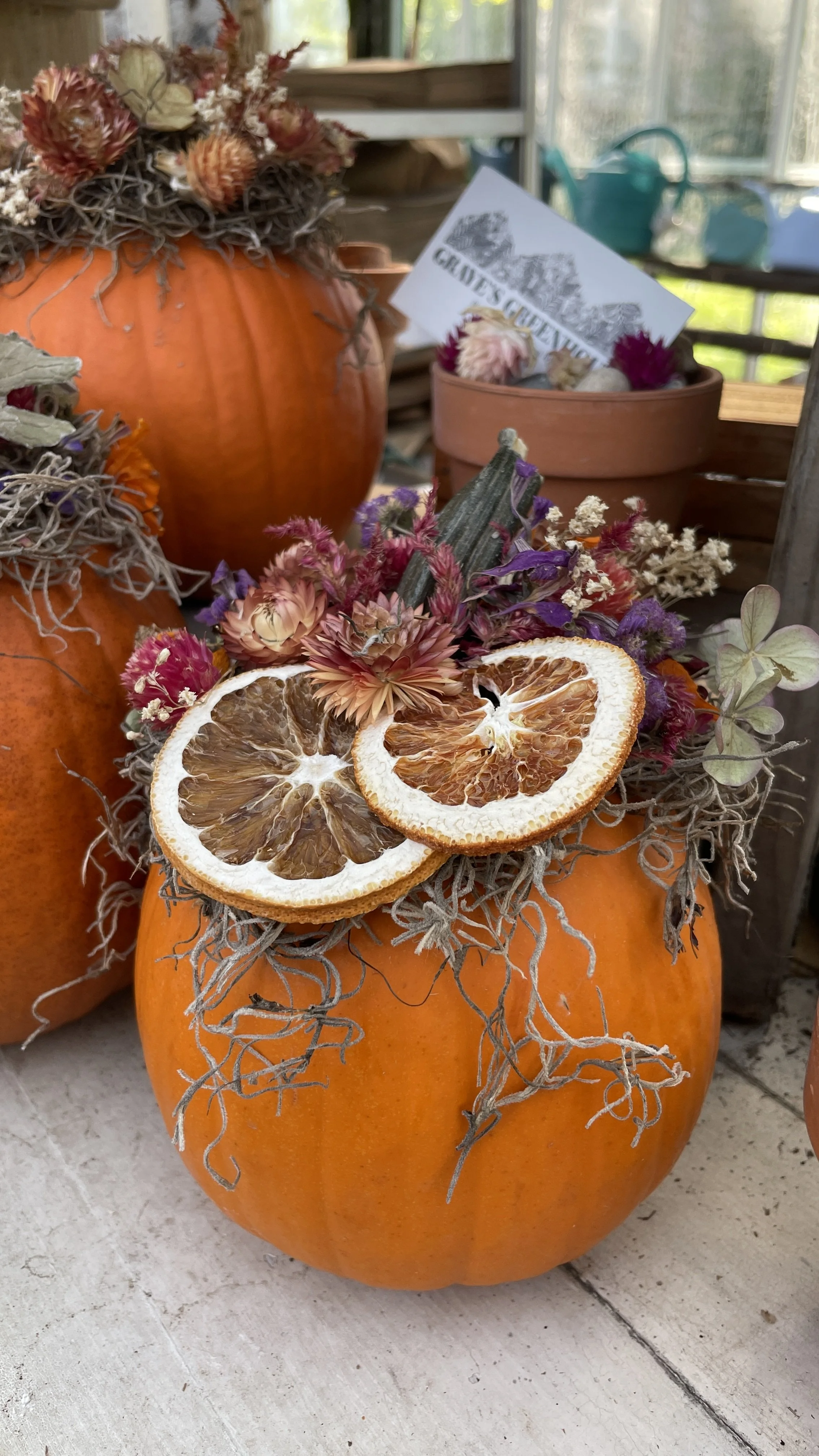 Dried Flower Pumpkins with Tillies