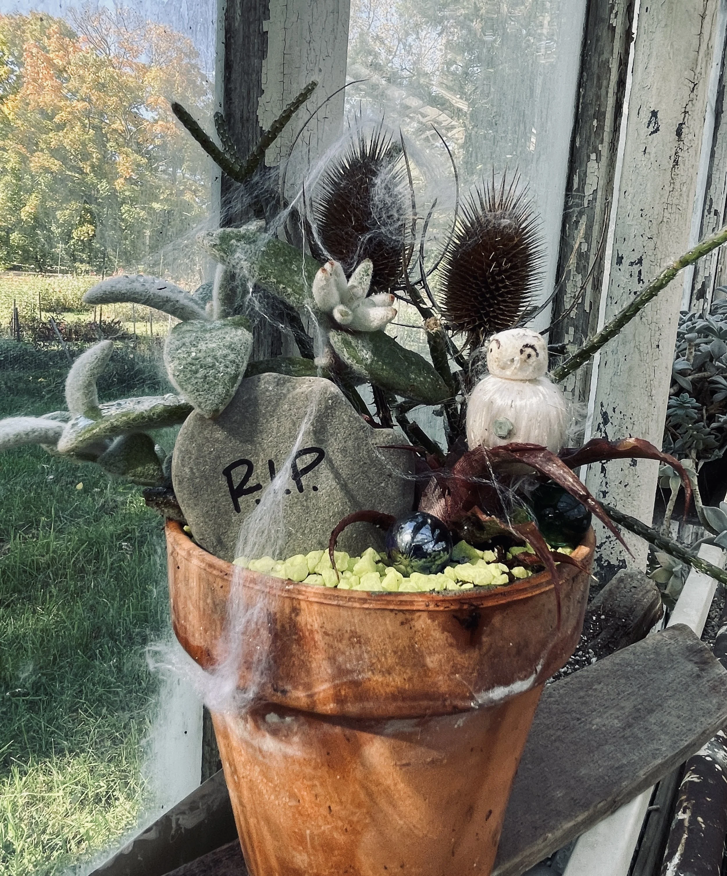 Spooky Fairy Gardens