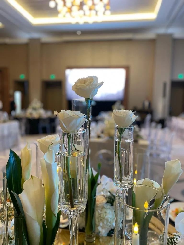 WhatsApp Image 2023-07-10 at 10.56.31 AM (2).jpeg