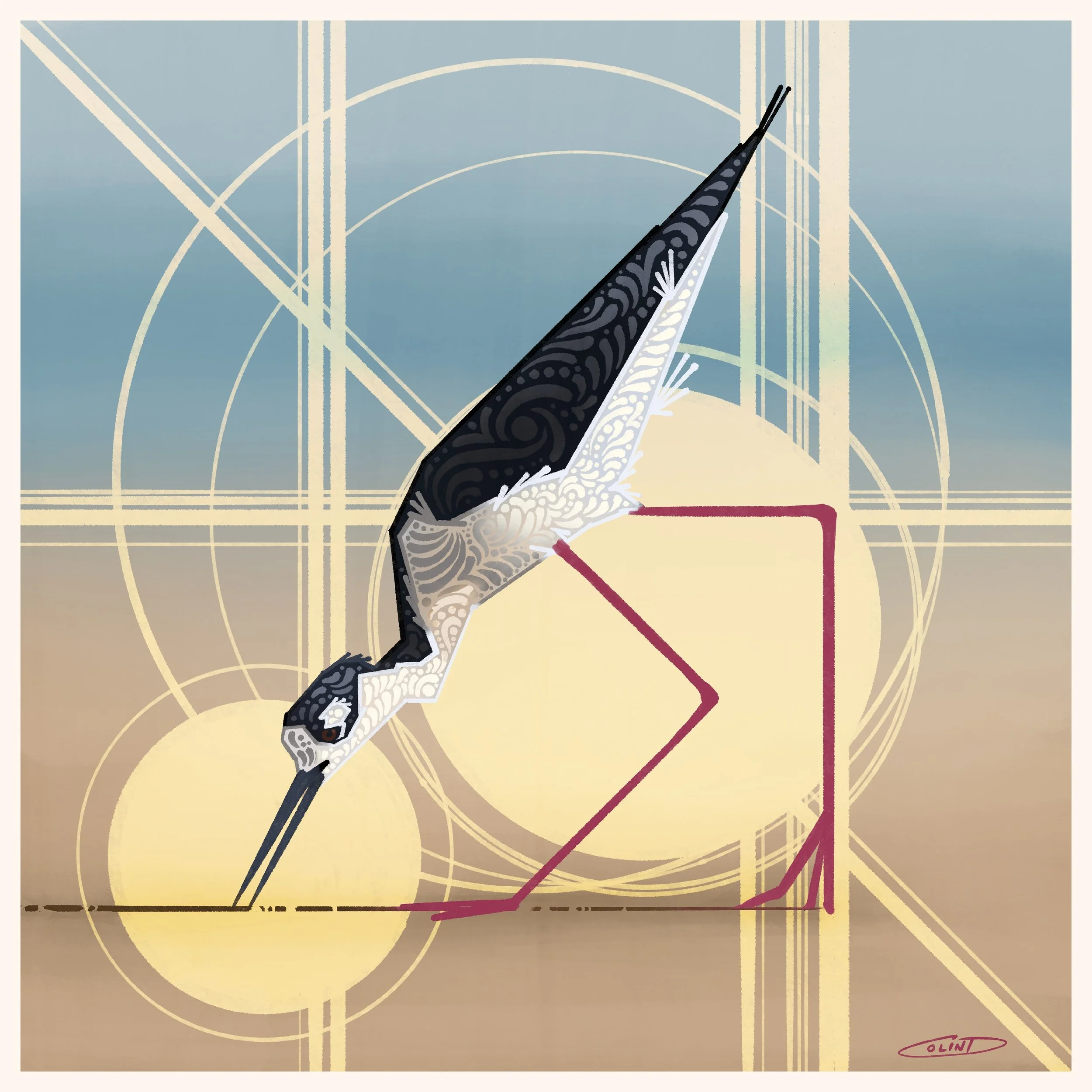 VIII Black-necked Stilt