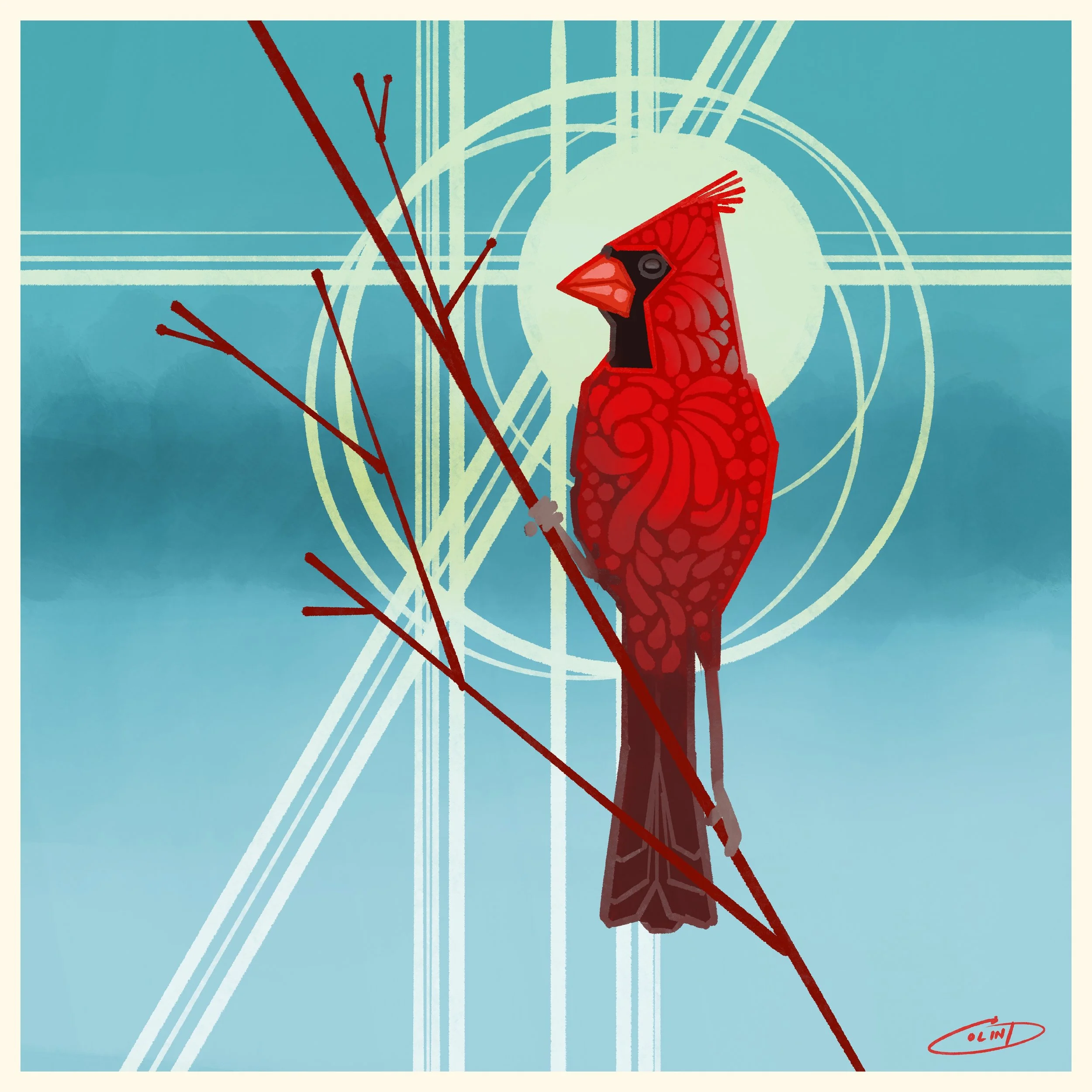 XIII Northern Cardinal