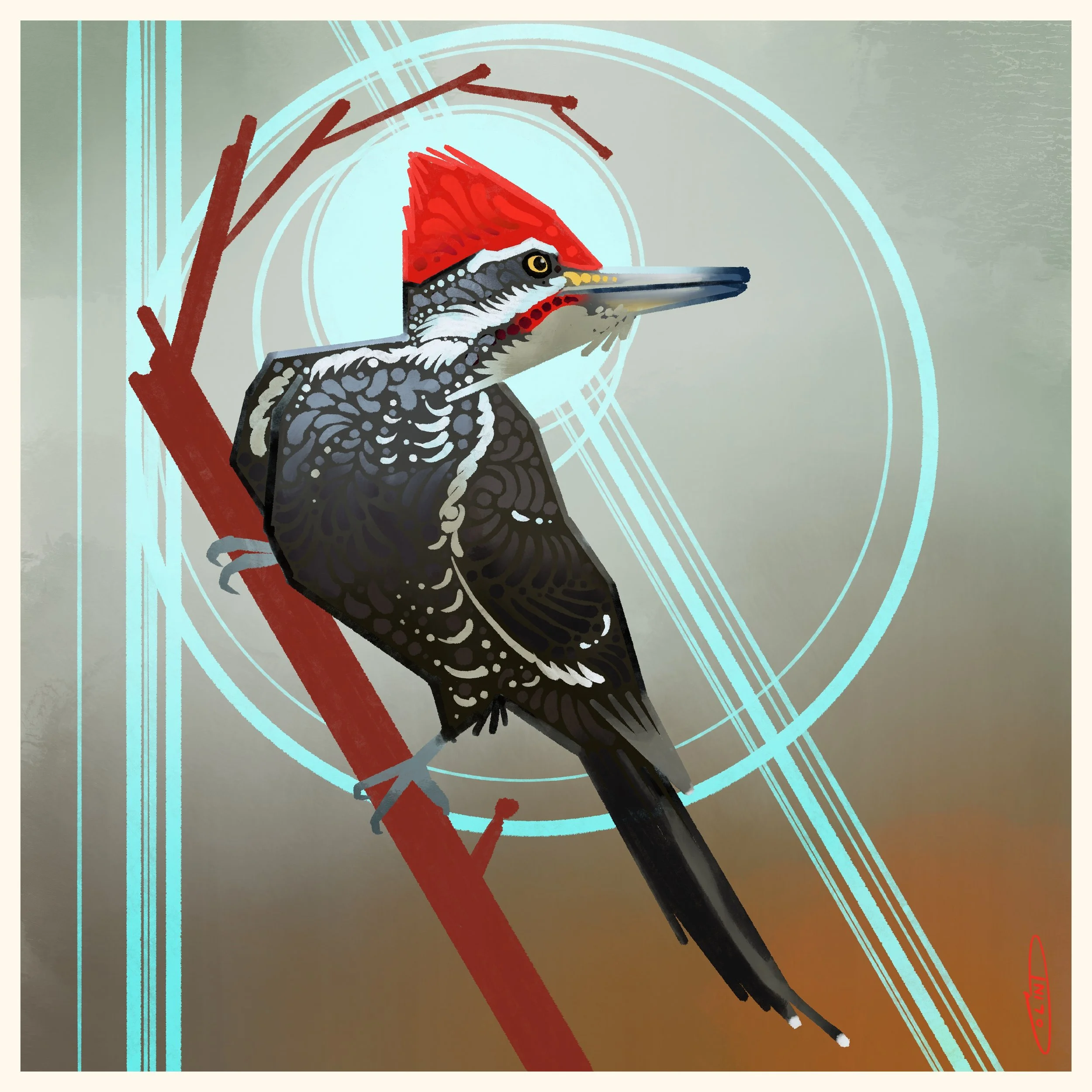 X Pileated Woodpecker