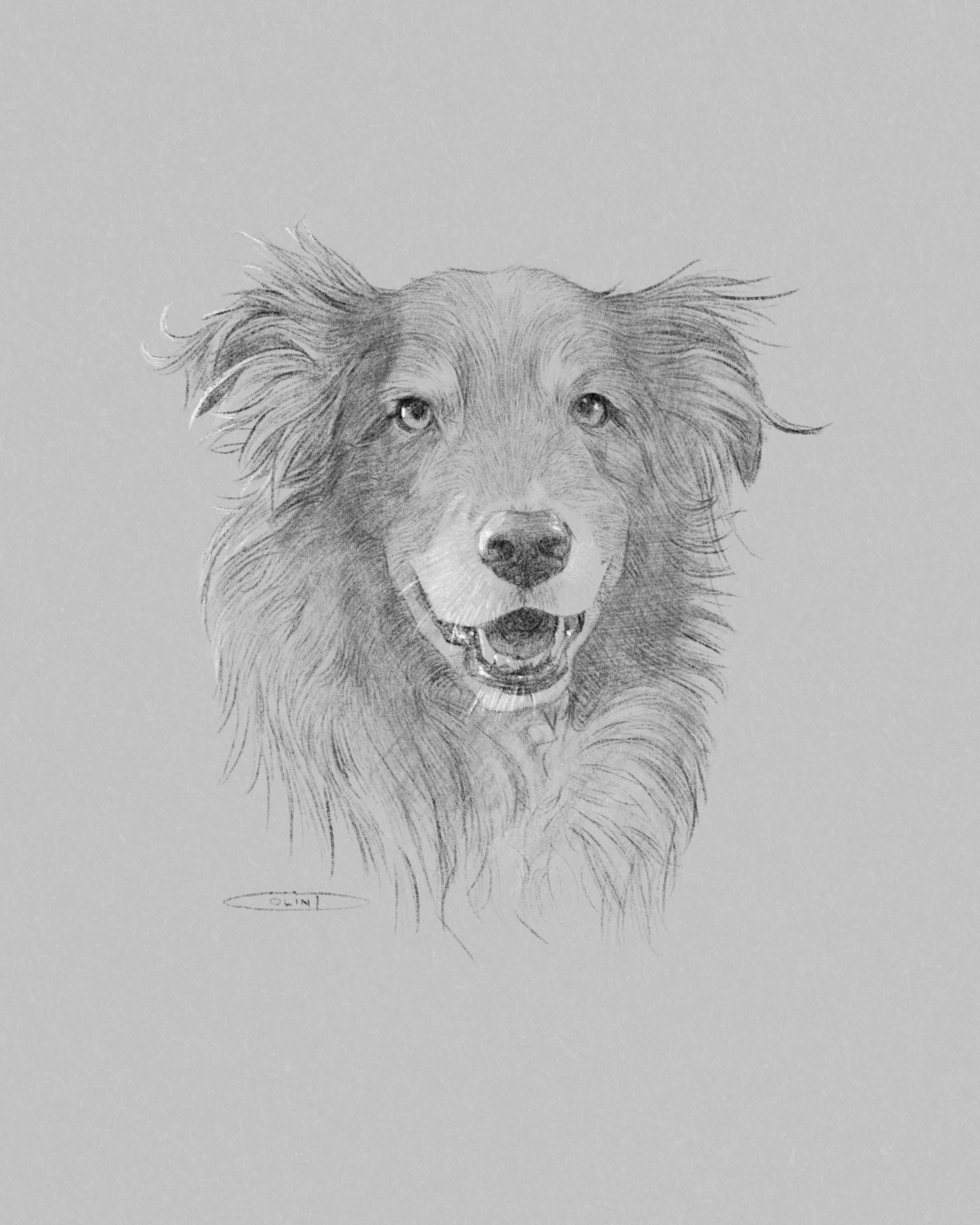 Bailey