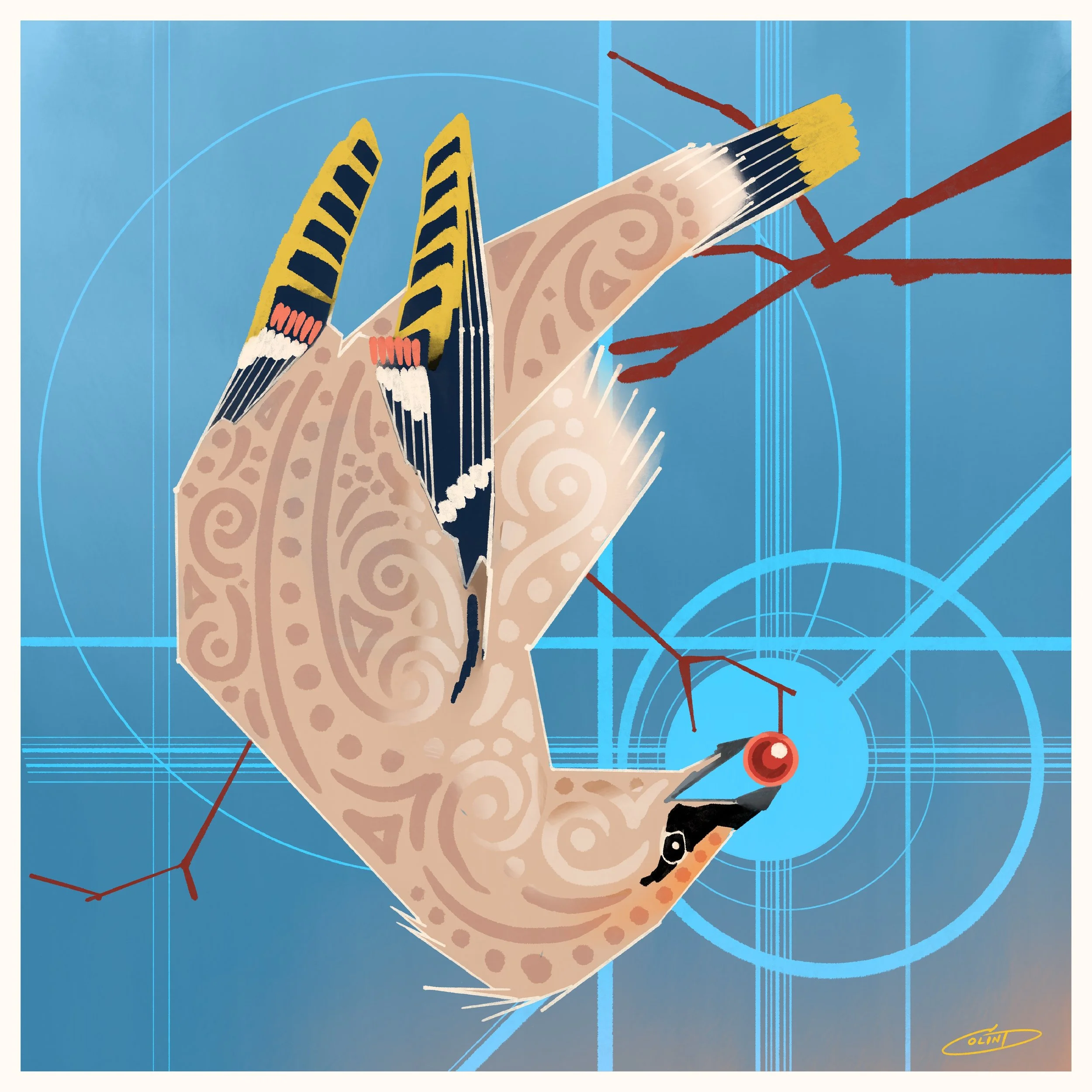 I Bohemian Waxwing