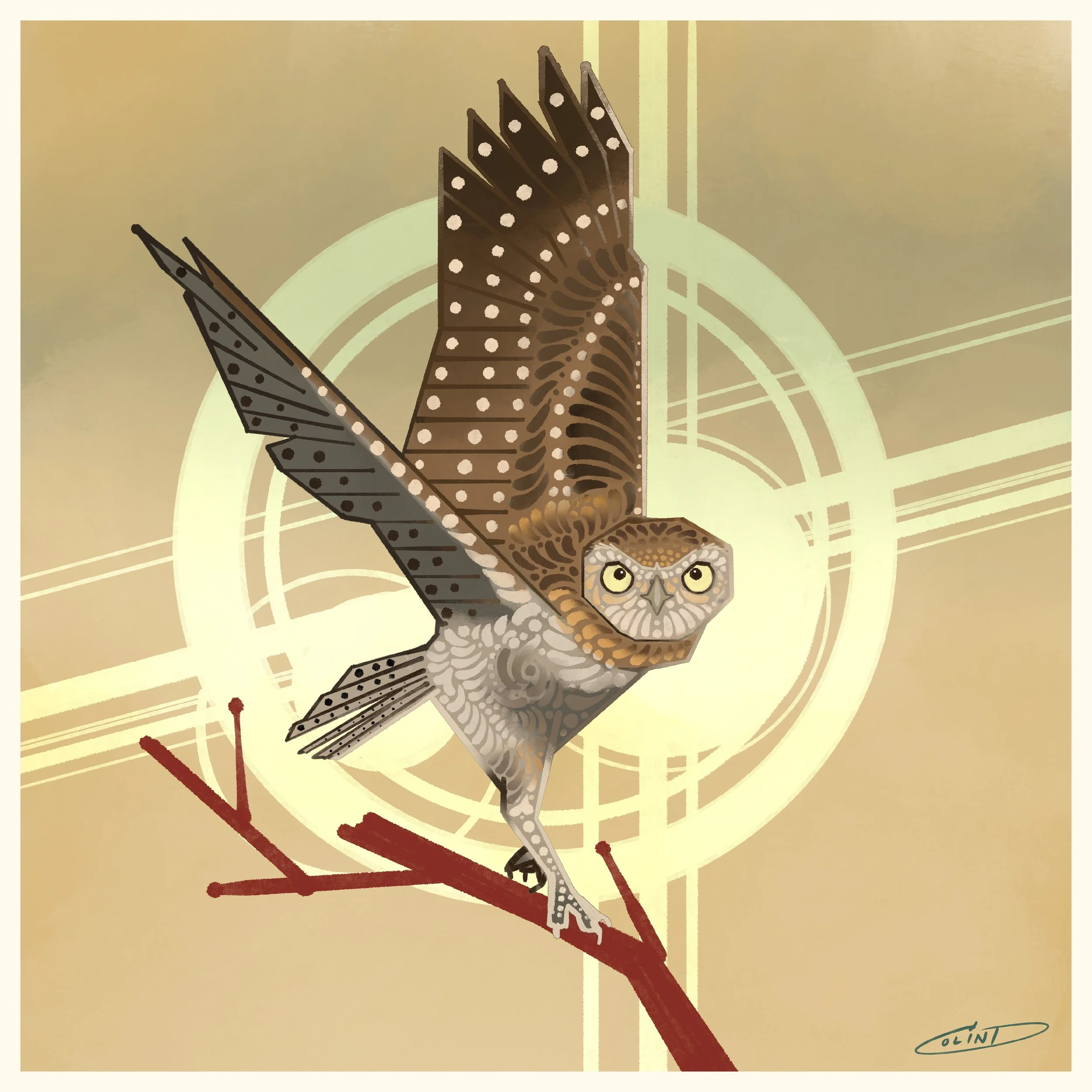XI Burrowing Owl