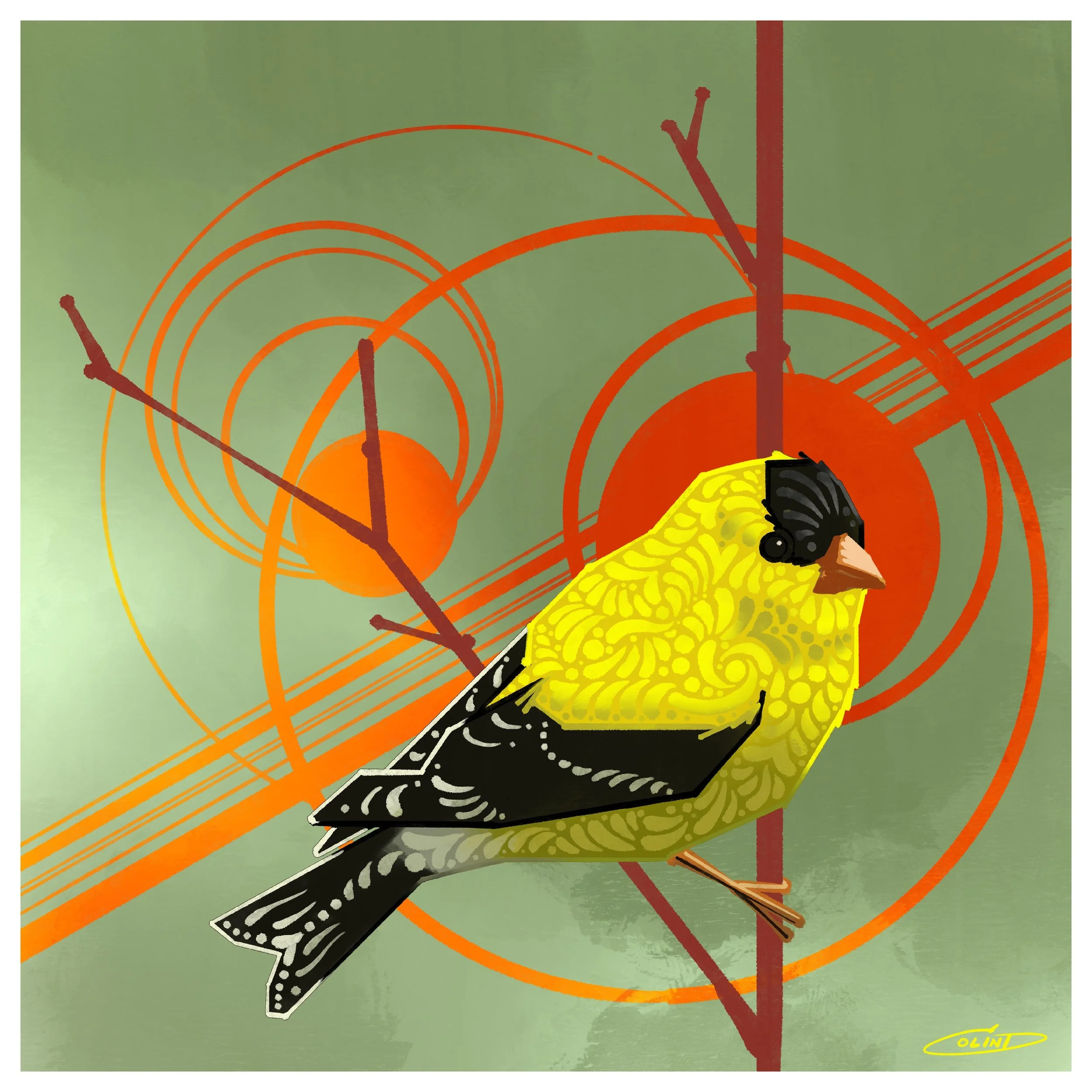 XII American Goldfinch