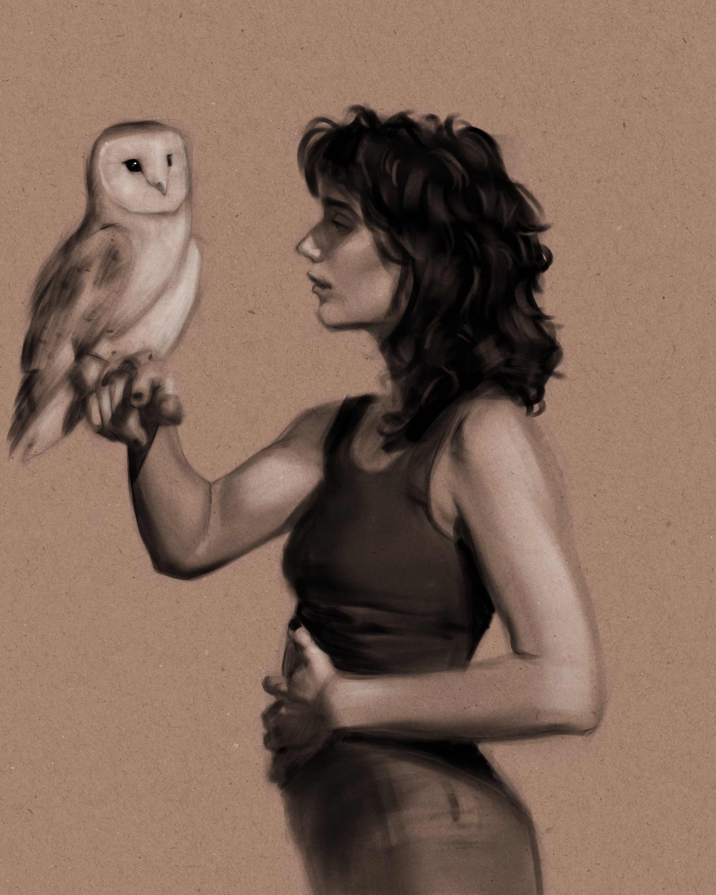 Barn Owl