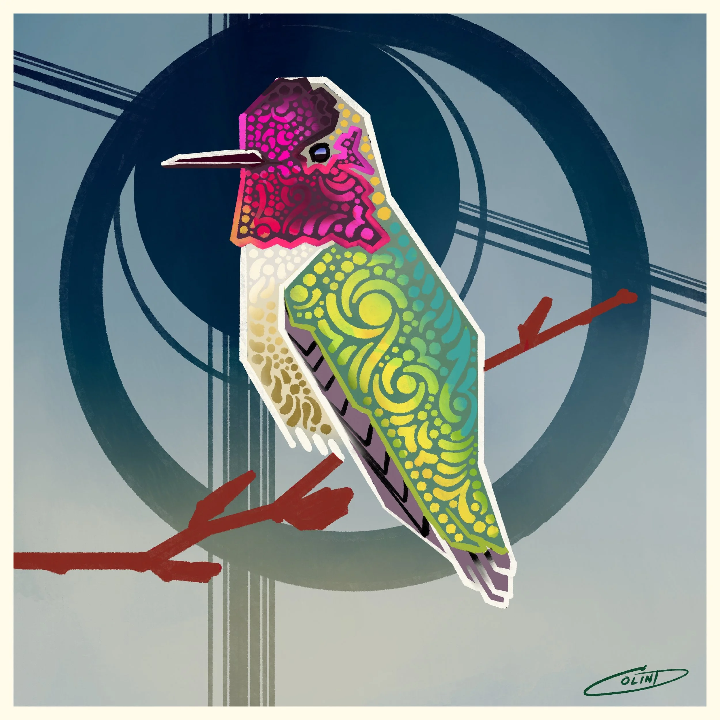 VI Anna’s Hummingbird
