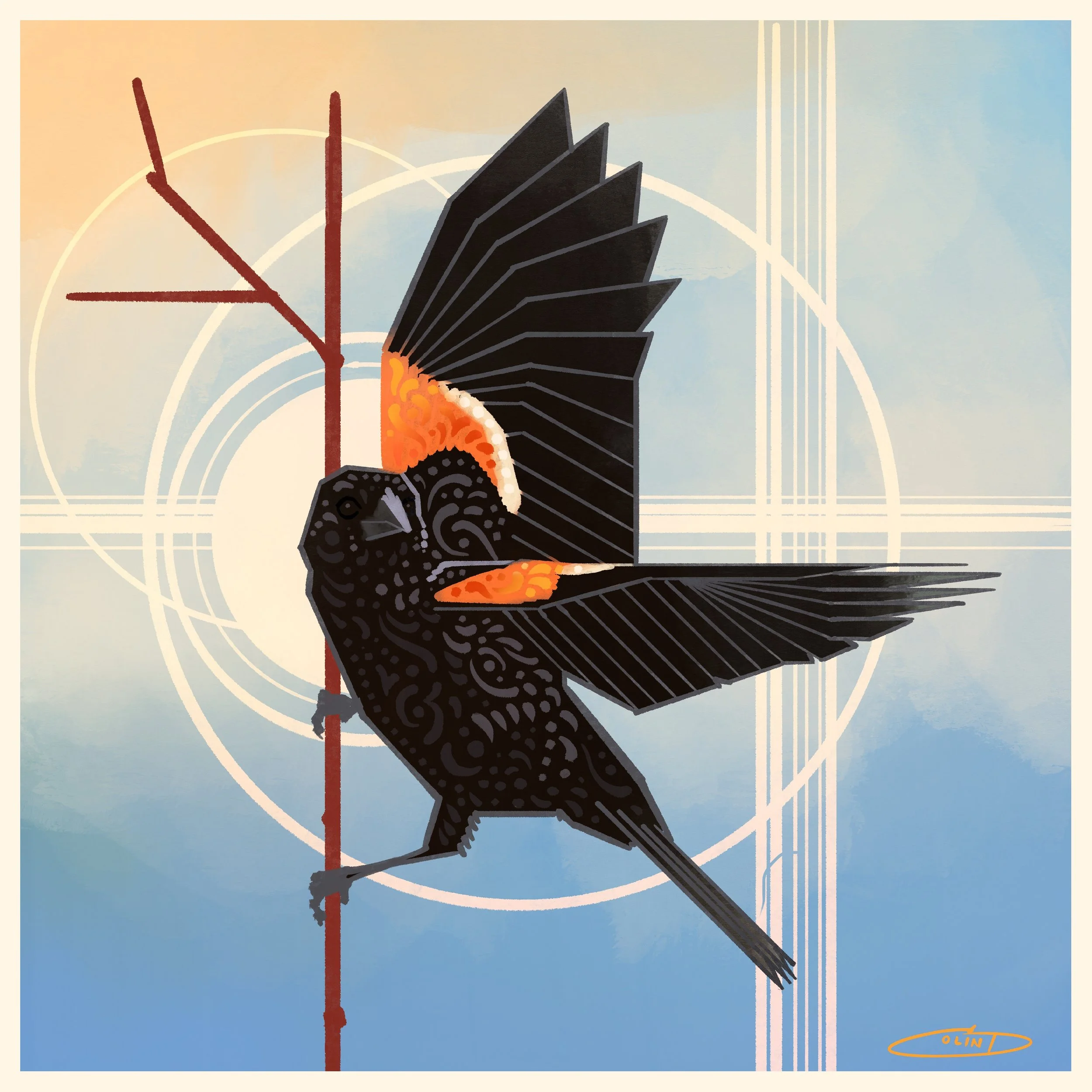 IV Red-winged Blackbird