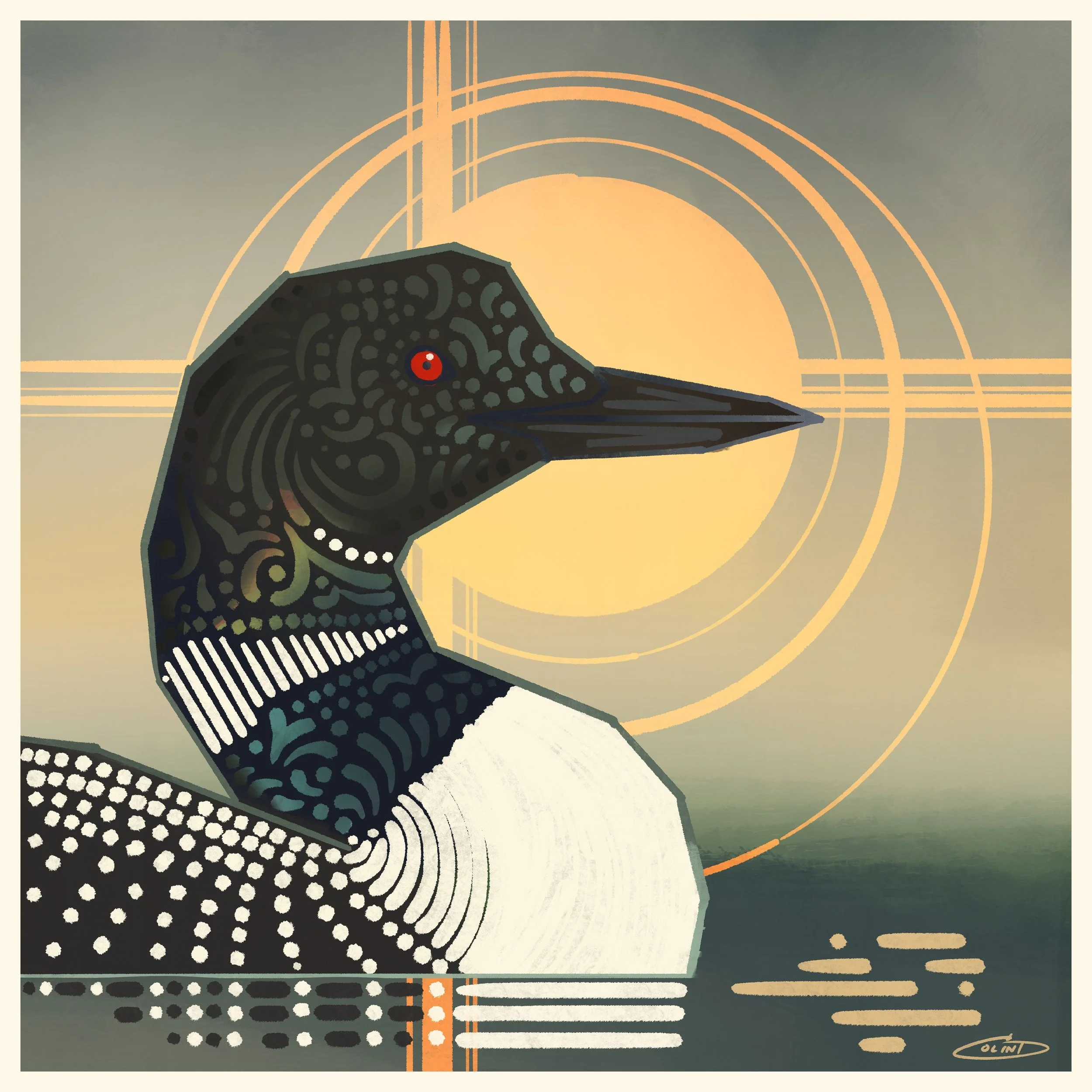 V Common Loon