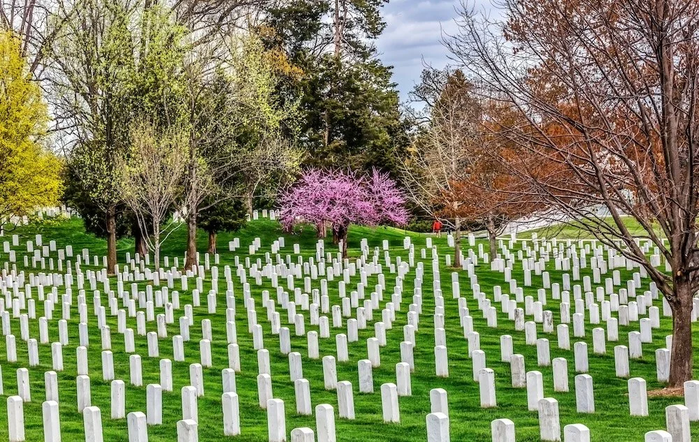 Wars of Choice. Violations of Trust.