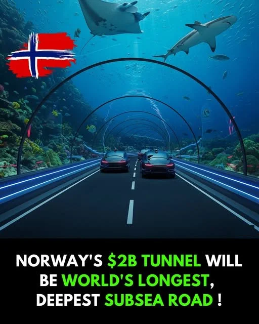Norway's subsea road