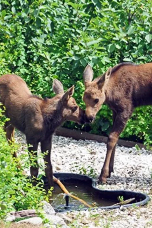 Spring Newsletter 