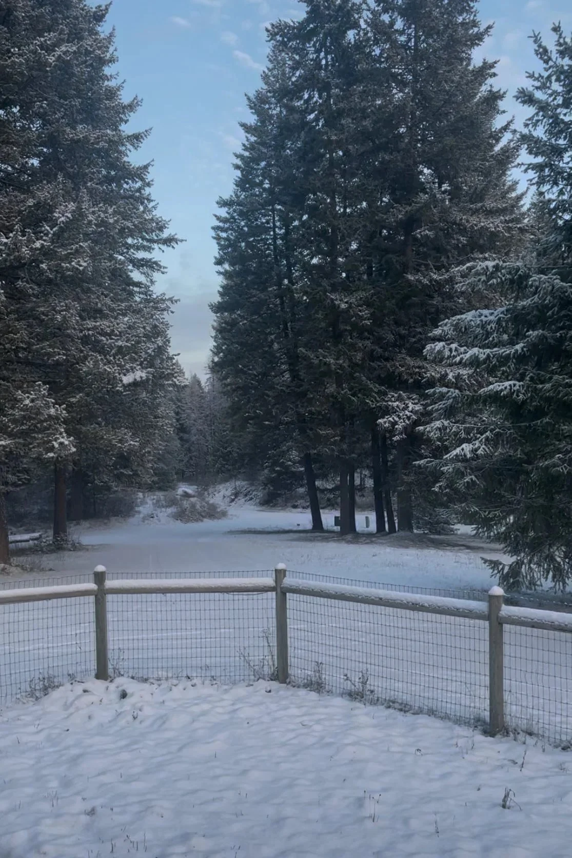Road Report