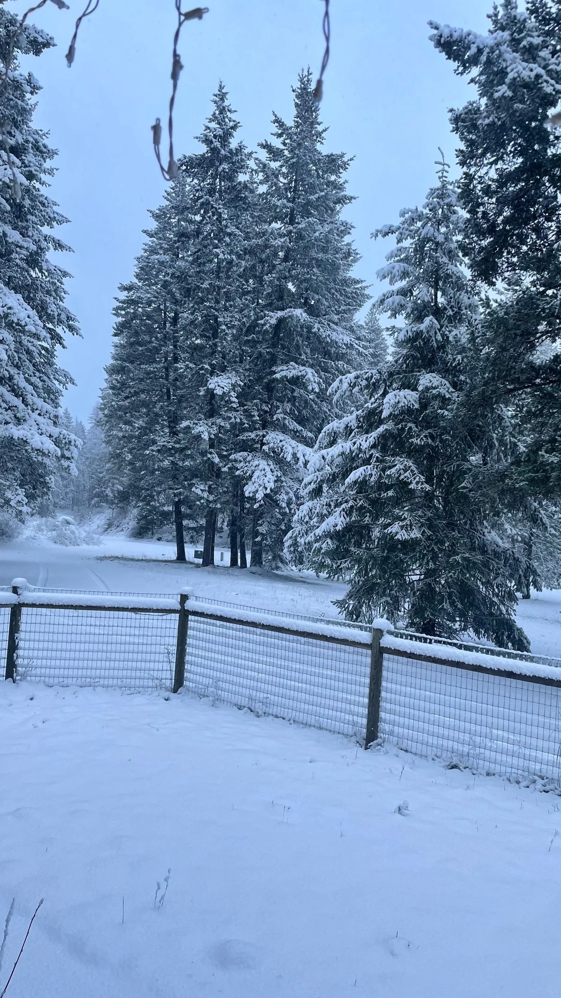 Road Report - Jan 6th, 9:30pm