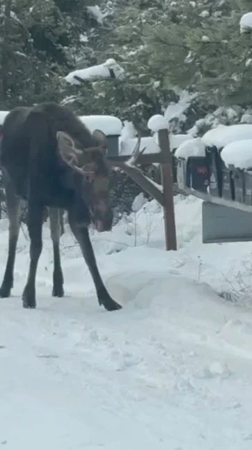 ROAD REPORT: Sat, Jan 10th, 12pm