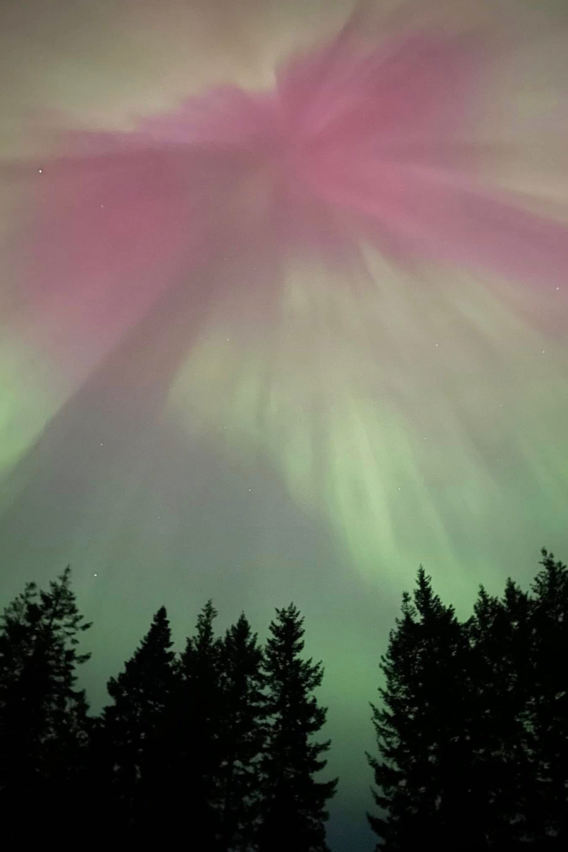 The Minutes, January 2026