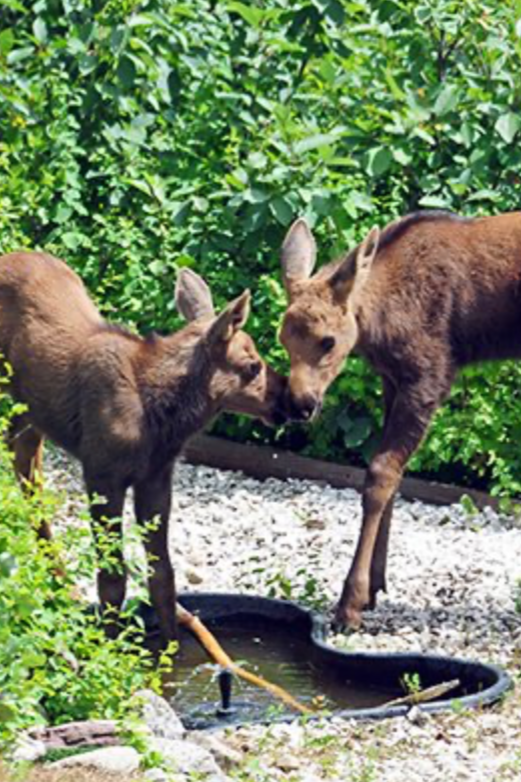 Newsletter, Winter 2026