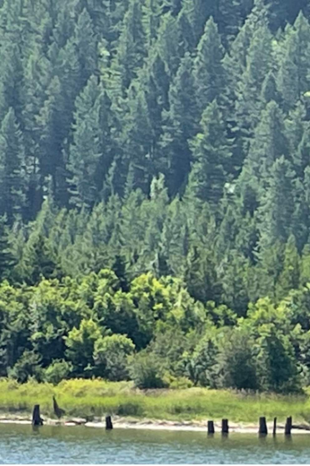 PAY DUES INTEREST FREE BY JAN 1ST