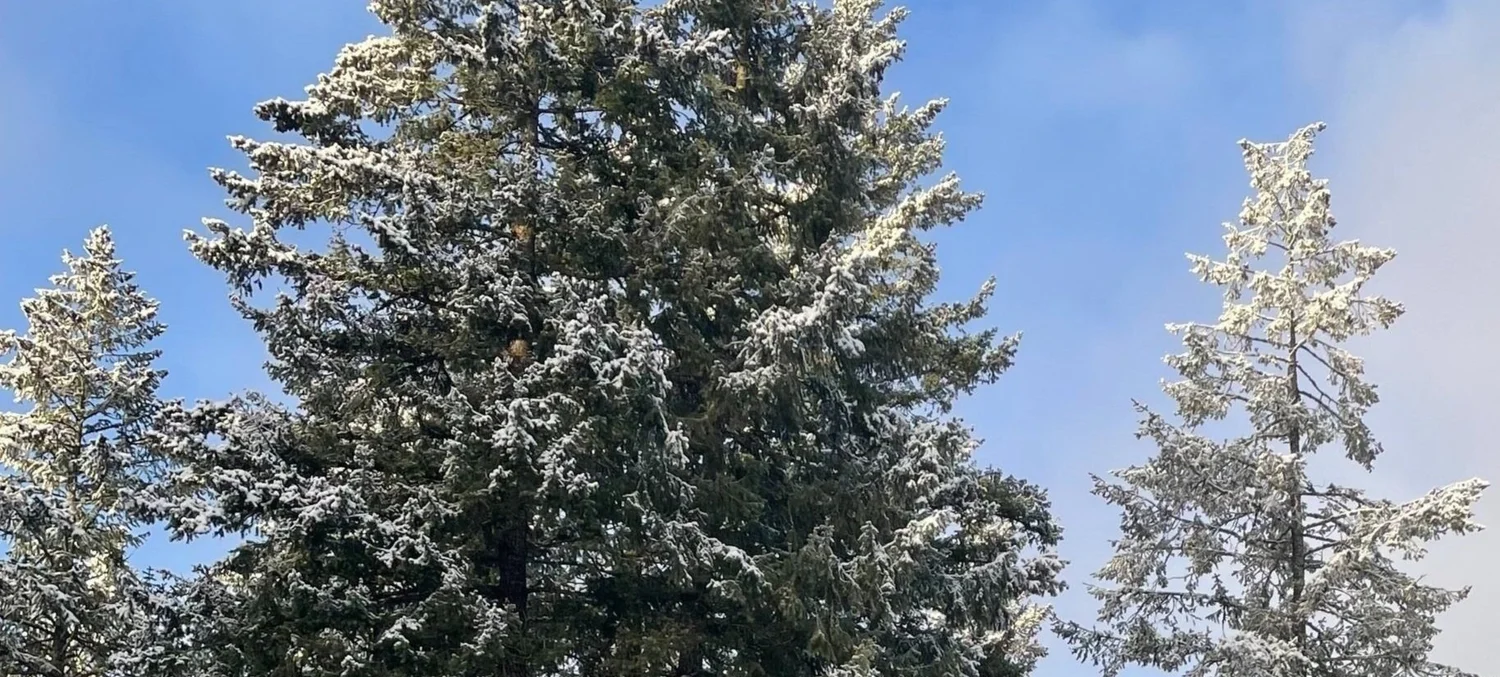 Photos — Spirit Lake East Homeowners Association