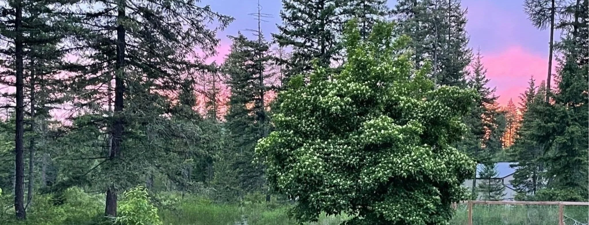 HOA — Spirit Lake East Homeowners Association