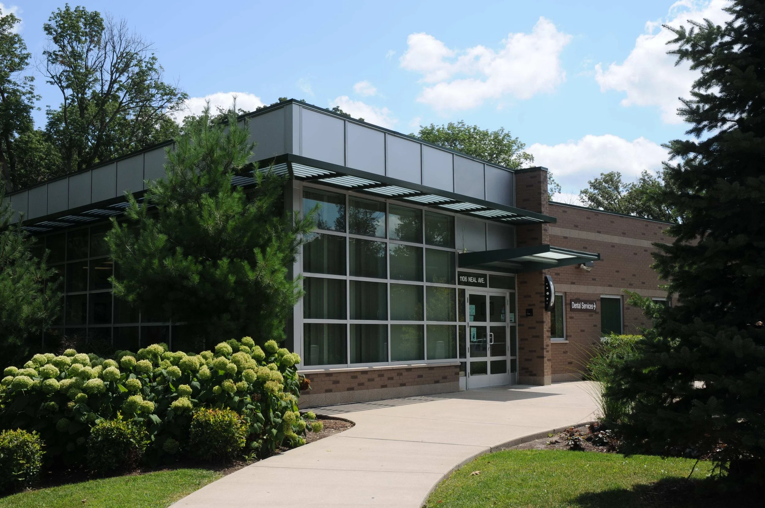 Will_12 Carrie Davis.JPG