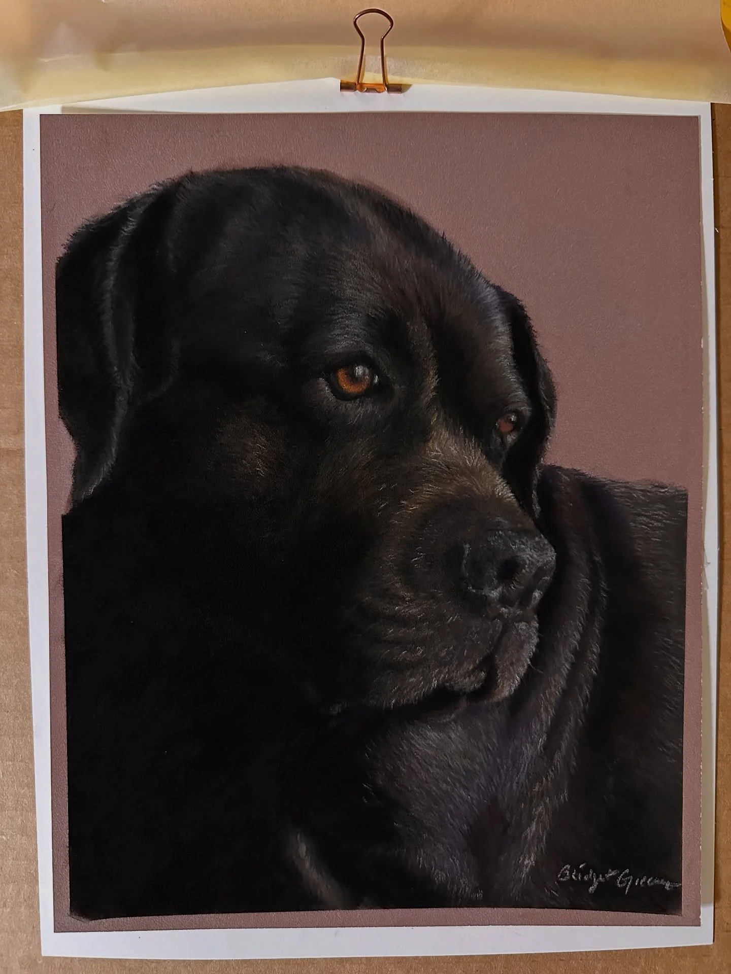 Finished the pastel portrait of beautiful Stella this week and was able to deliver it to her mama @erin_simmons11 today! I love how happy these portraits make pet parents. 🥰 🐾 Swipe to see a couple progress shots 👉🏻