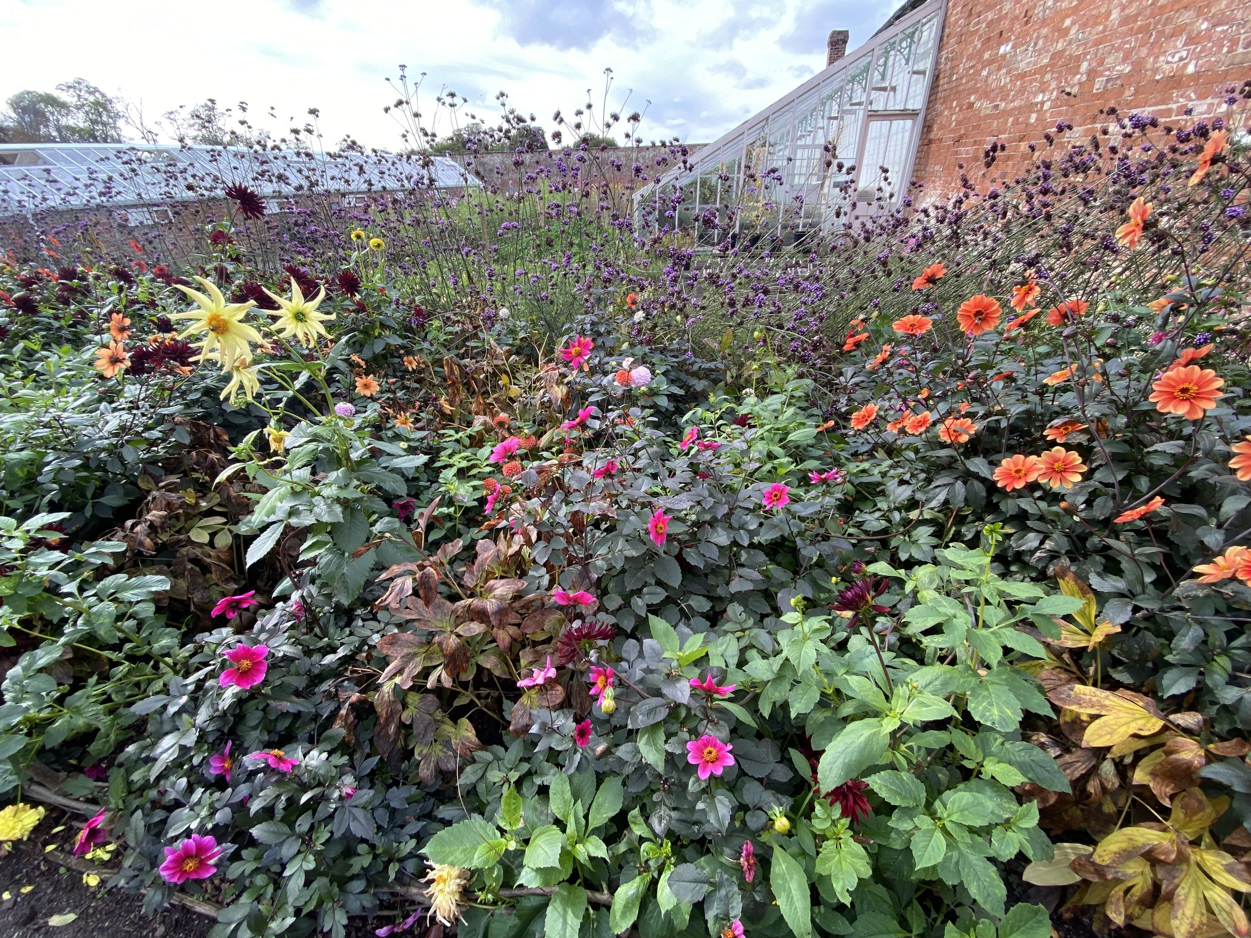 Attingham park walled garden coloursLucy Caddel.jpeg