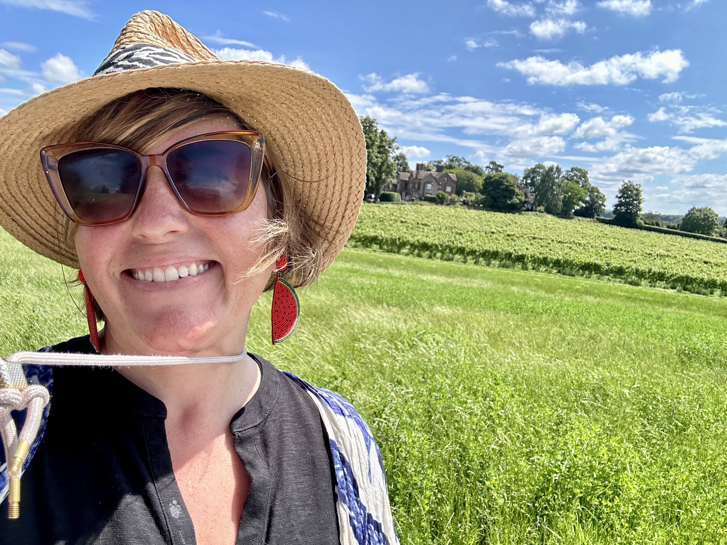 Lucy Caddel panoramic watercolour en plein air vineyard.jpeg