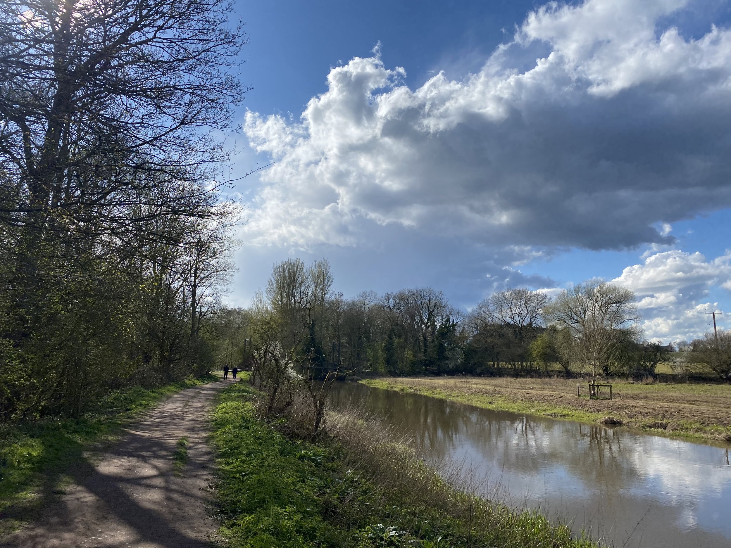 Attingham park river view Lucy Caddel.jpeg