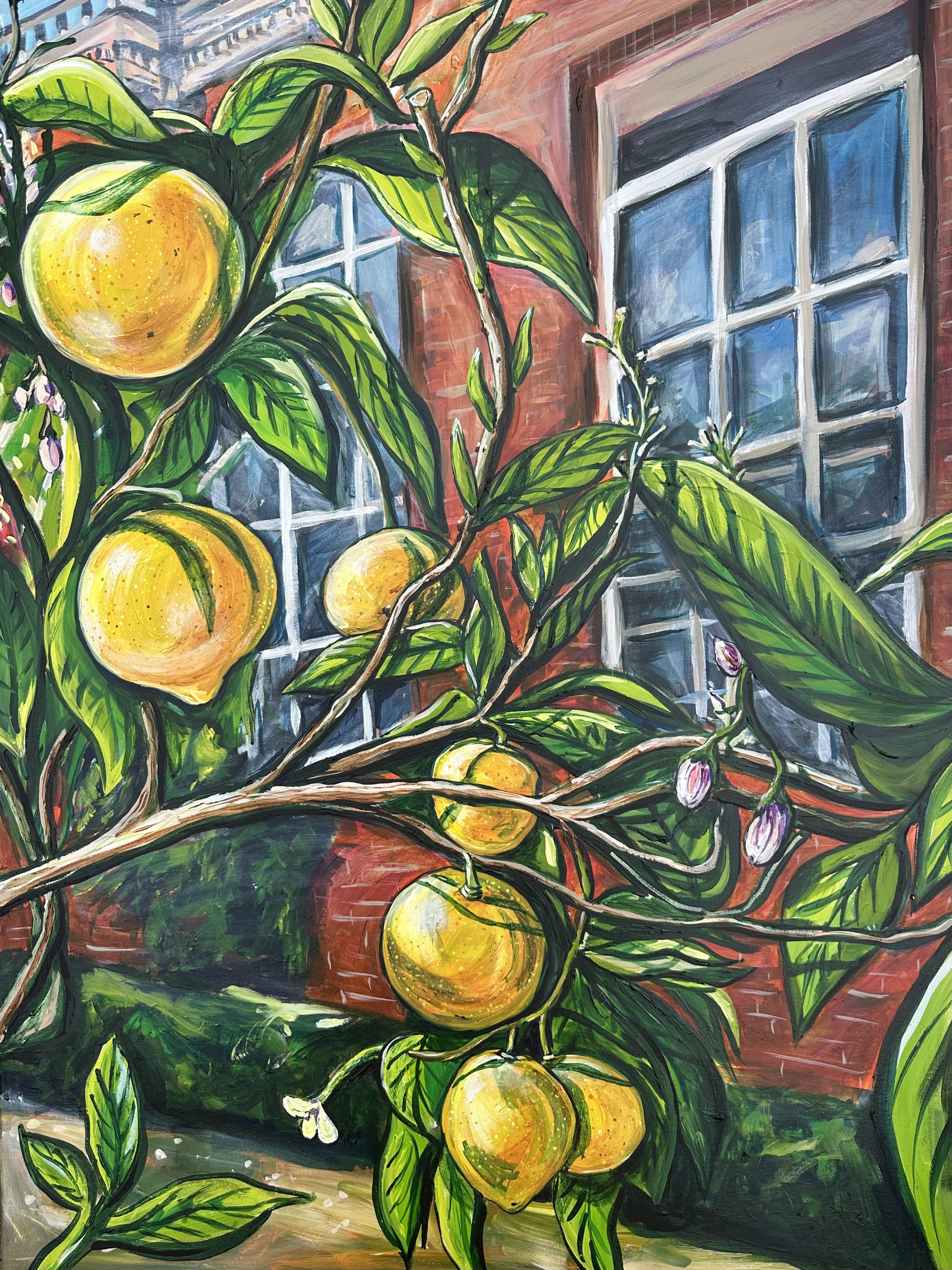 Citrus at Powis
