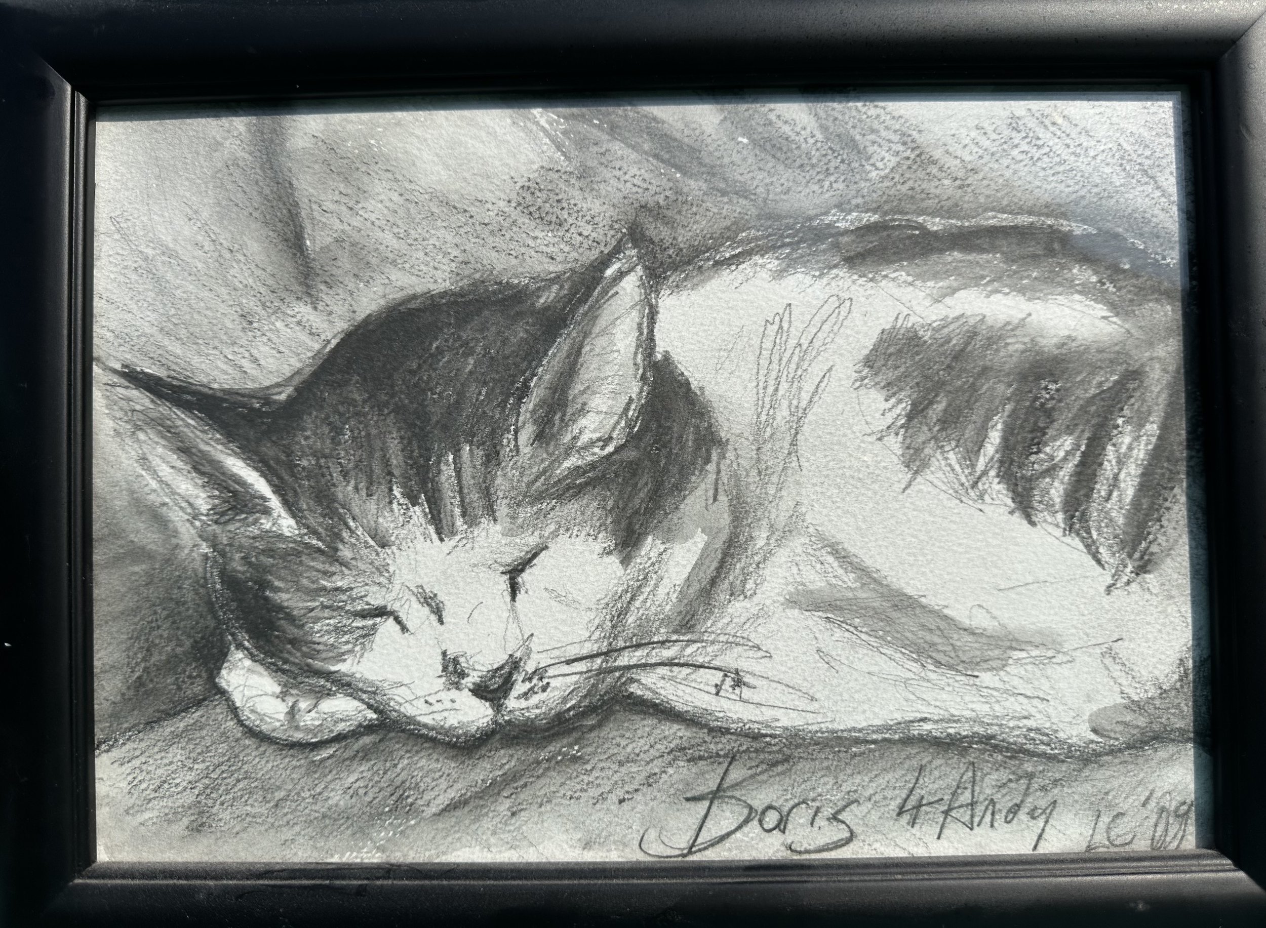 tonal drawing sleeping cat Lucy Caddel.jpeg