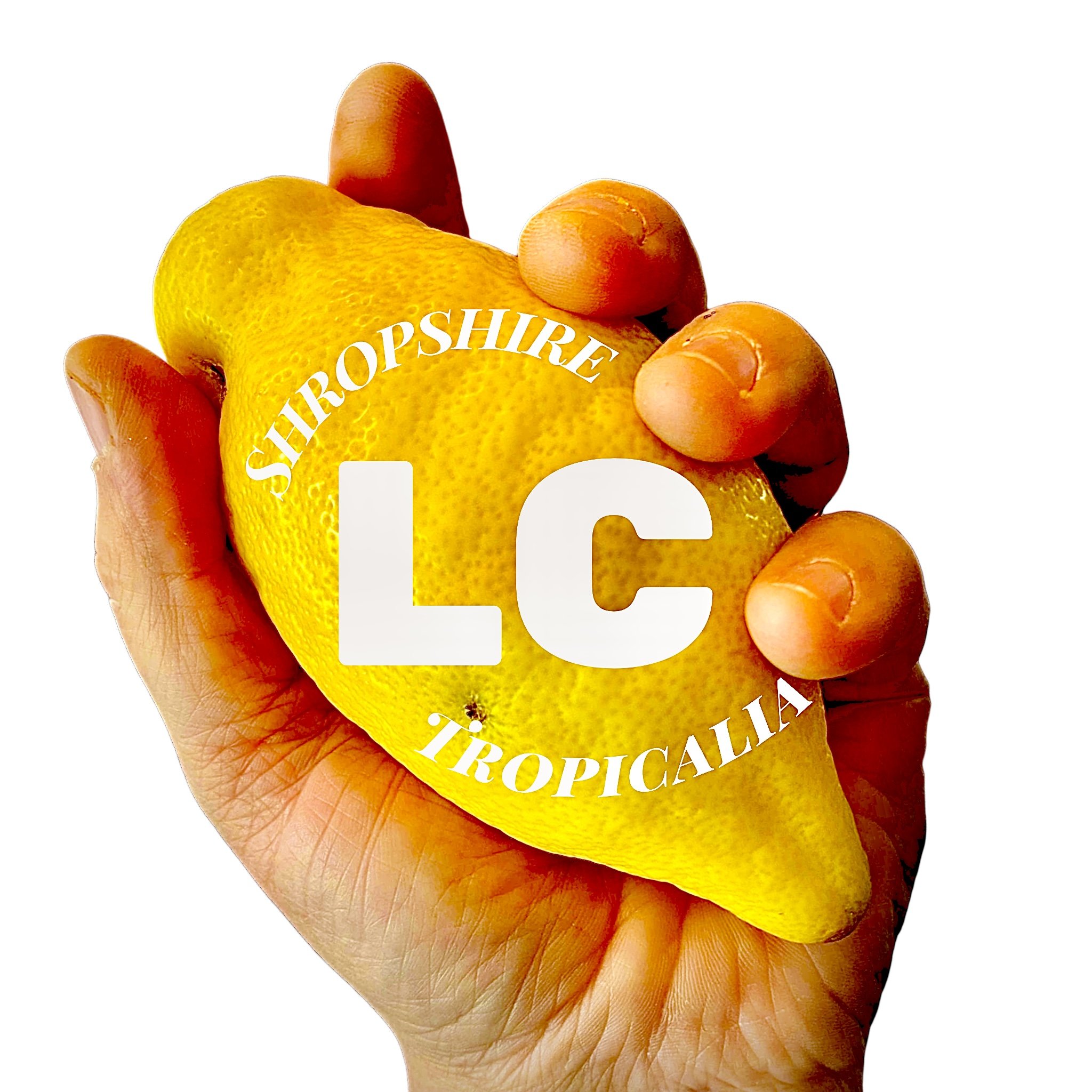 Lucy Caddel artist Shropshire bright yellow lemon art logo.jpeg