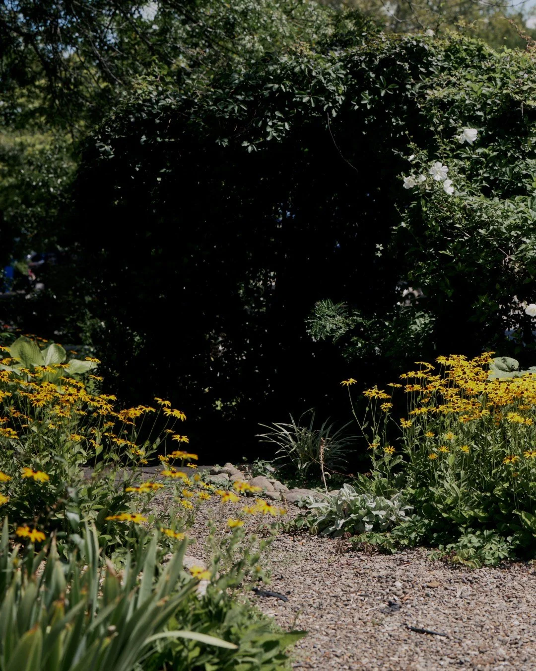 We are in the thick of summer. It's muggy. It's hot. It's been raining almost non-stop. Ooh that rhymed! 😉

We've been feeling a nice reprieve from the heat and humidity lately.  And as we move further into summer and life starts to speed up - with 