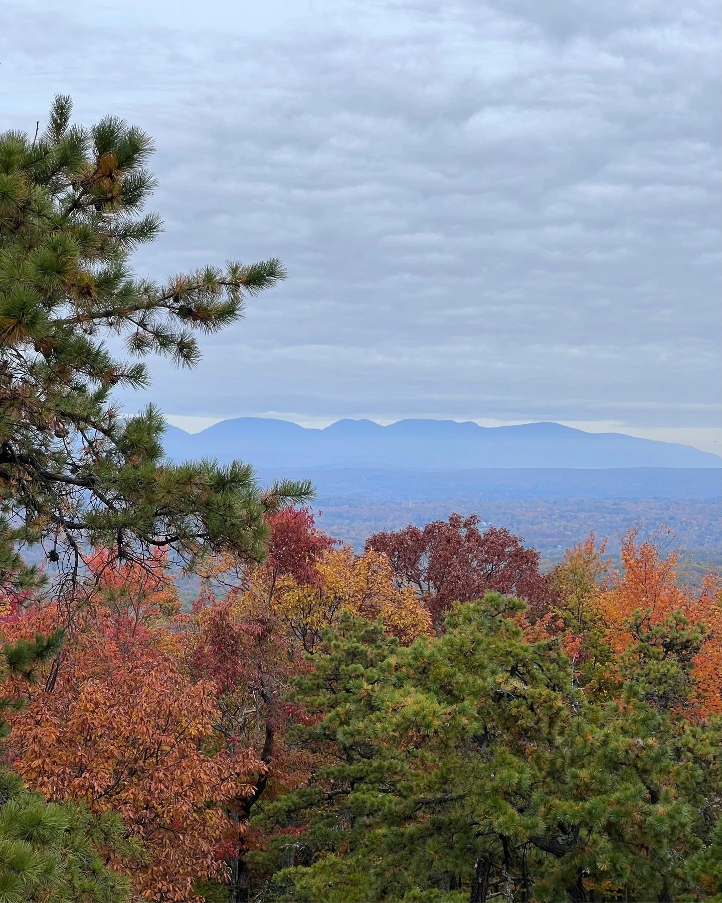 Annie here! I wrote about non-attachment in the most recent WSY newsletter. Do you subscribe? Here's an excerpt!

Fall brings on significant change (in weather, schedule, clothing, etc). Particularly during this time of the year (and while the world 