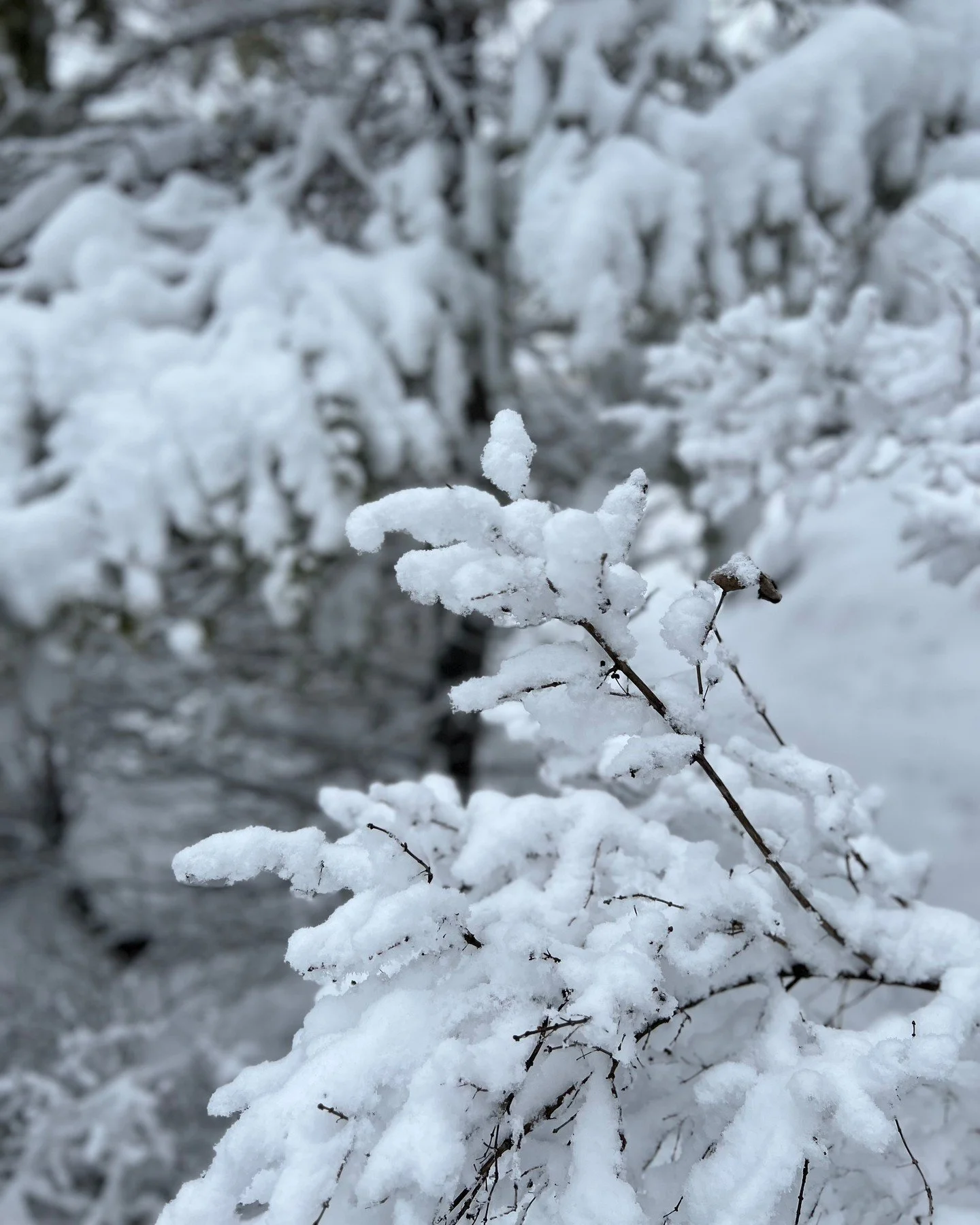 The end of the year is filled with resolutions, celebrations, reflections, promises, and new wellness routines - new year, new me, right?

It feels like so much pressure to change or improve yourself, because the calendar year changes. The idea of a 