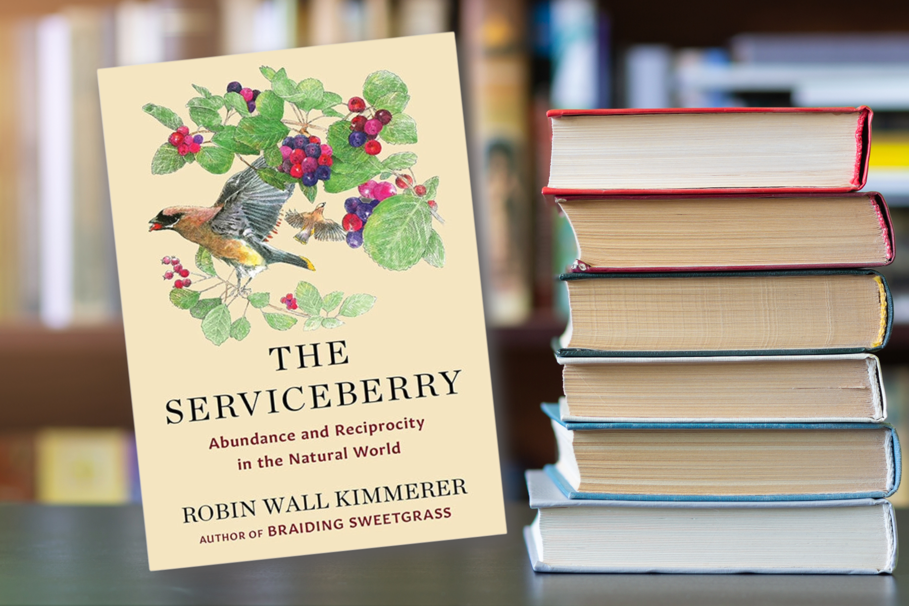 Book Club: February 2026