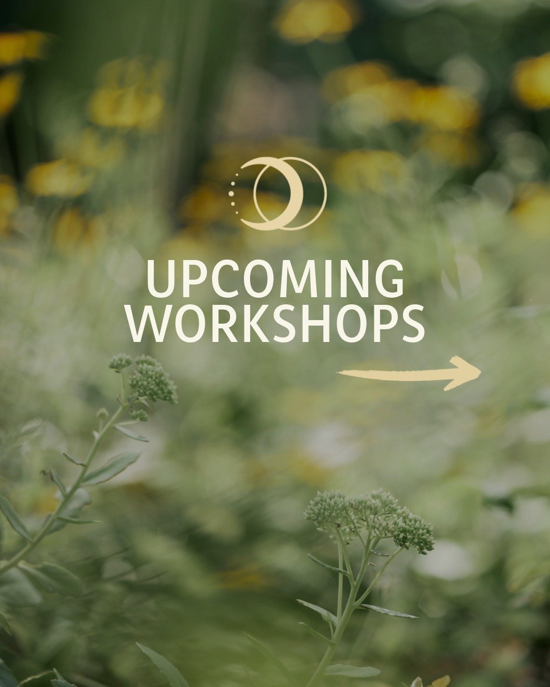 Spring has officially SPRUNG. And we've got lots of fun workshops planned at the studio. Hope to see you soon! 

🌙 Yoga Nidra with Kelly on Saturday 4/25

✨ Seasonal Meridian Flow with Kira on Sunday 4/26

🌱 The Inner Renewal Spa with Jessica Barry