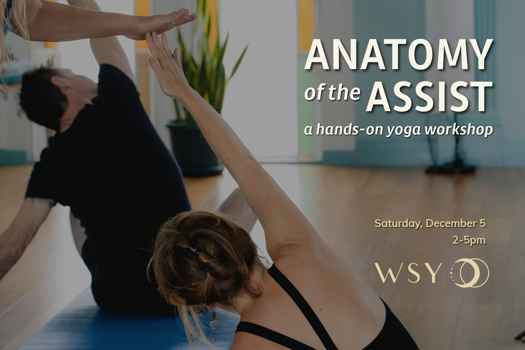 Anatomy of the Assist